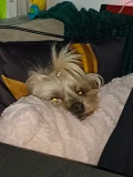 eaf3f7c8 6011 44ac 93bb eac8c389434d