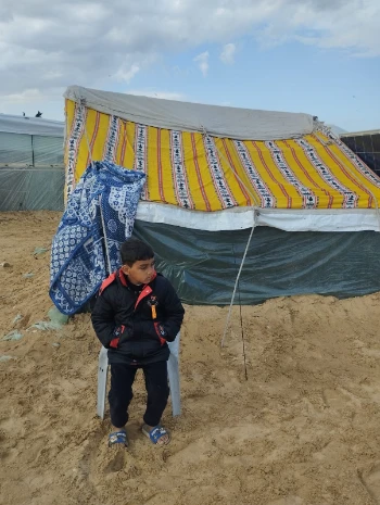 img 20240225 wa0013.