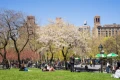 springtwo