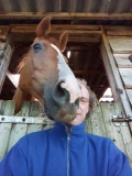 foto  klein