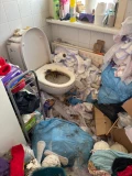 img 0685