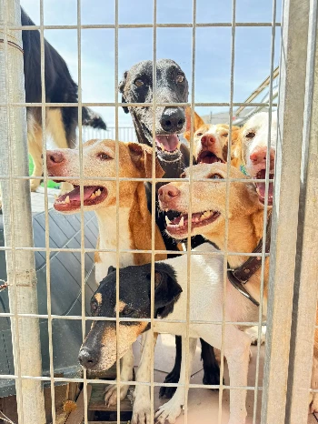 a09ce4fb 3ff0 428d 9666 a1d053ac1556.