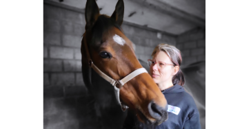 Steun voor dierenartskosten zodat we ons paard kunnen helpen.