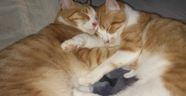 Bin grade in einer notsitation