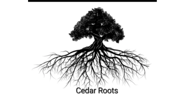Cedar Roots 