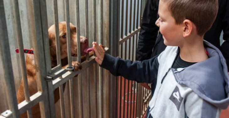 Help dieren een nieuw leven te geven