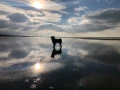 img 0073