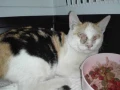 img 0925