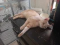 img 0939