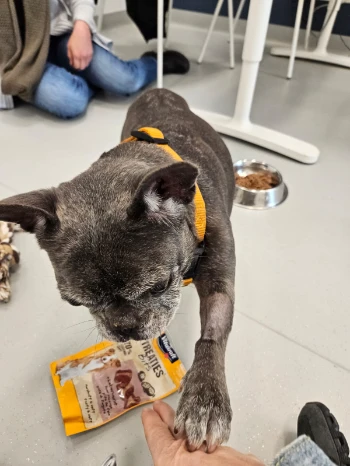 inbound2378229792654023324.