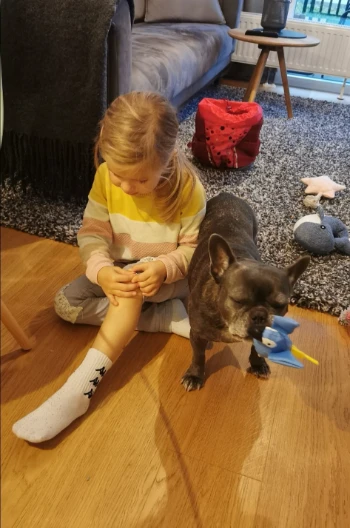 inbound5973758754129311653.