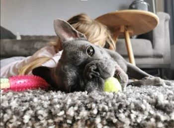 inbound6919103206909898993.