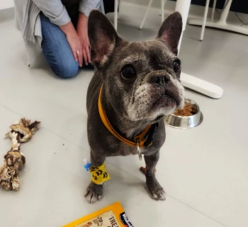 inbound7689442880985916.