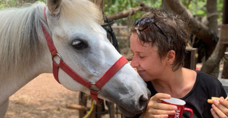 Help deze 12 geredde paardjes in India aan een nieuw thuis!