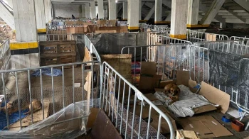 cimg 8608171 1715704862.