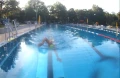 swim12