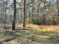img 0879