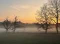img 14701