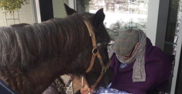 Hippotherapie voor mensen met een beperking