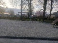 img20240318174525