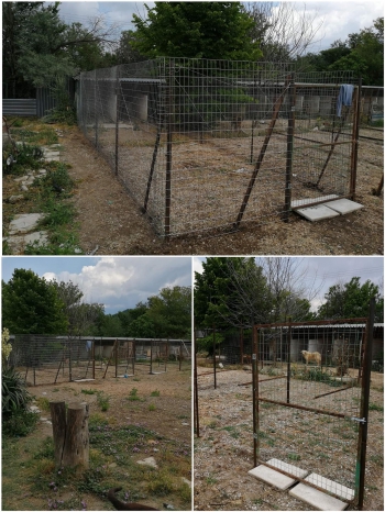 fea4b99f 2cfe 4562 9979 c3034eae9223.jpeg