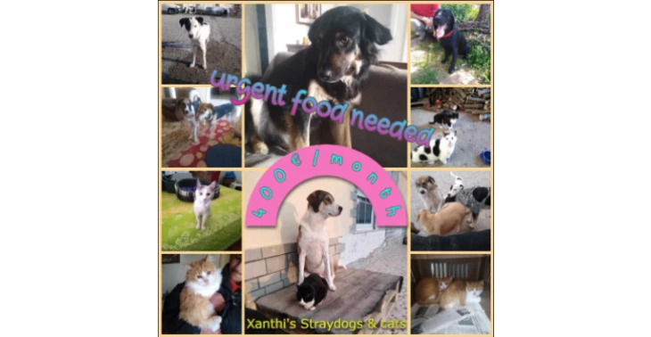 Hulp voor Xanthi's Straydogs & Straycats