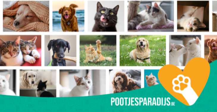 Opstartkosten Pootjesparadijs - dierenasiel Zemst