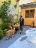 img 3967