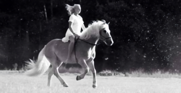 Wolk 🐴