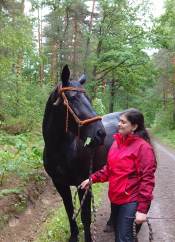 img 20240522 wa0010.