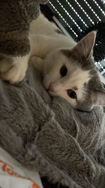 e9ebd861 121f 4757 8a5b d9f85f066c5d.