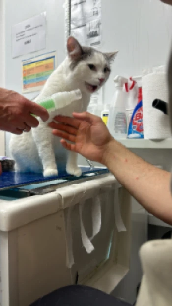 f6a93c25 e2a5 4fa6 866f 0819df515e77.