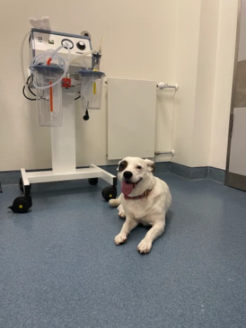 303b16db 6792 4a8d a100 e8545c9fc087.