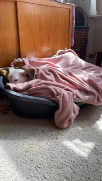 b95d1db3 3f7d 41a2 a574 e9d8e848da7c.