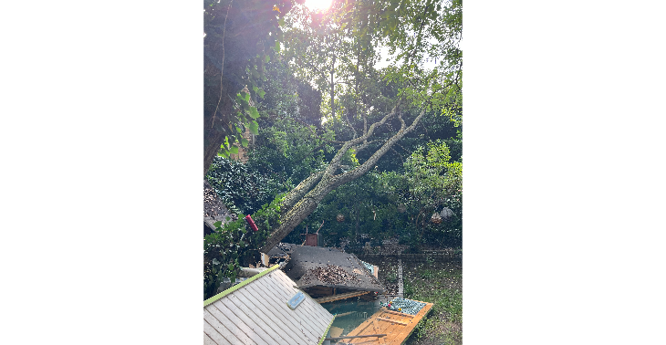 Rettet unseren Naturgarten