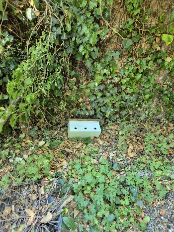 e2dde545 eaa6 4f36 be3f 617aefbf72be.