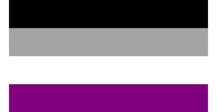 Vzw Asexual LGBTQIA+ heeft nood aan nieuwe PC