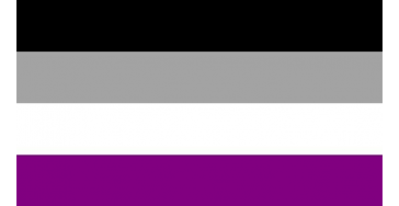 Vzw Asexual LGBTQIA+ heeft nood aan nieuwe PC