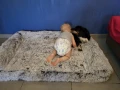 1000039764