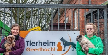Tierheim Geestacht
