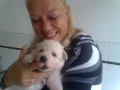 ikentutje