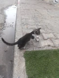 1000009872