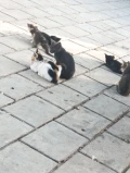 1000010011