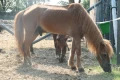 picture 1600 g