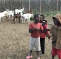 kinderen