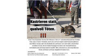 Kastrieren statt qualvoll Töten ‼️‼️‼️