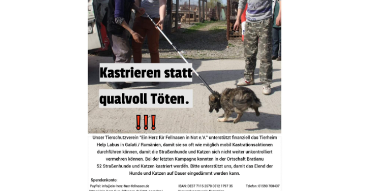 Kastrieren statt qualvoll Töten ‼️‼️‼️