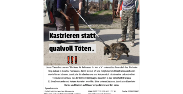 Kastrieren statt qualvoll Töten ‼️‼️‼️