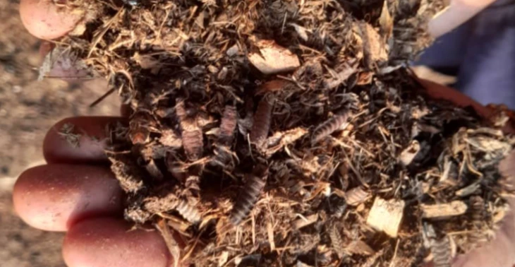 From Trash to Treasure!