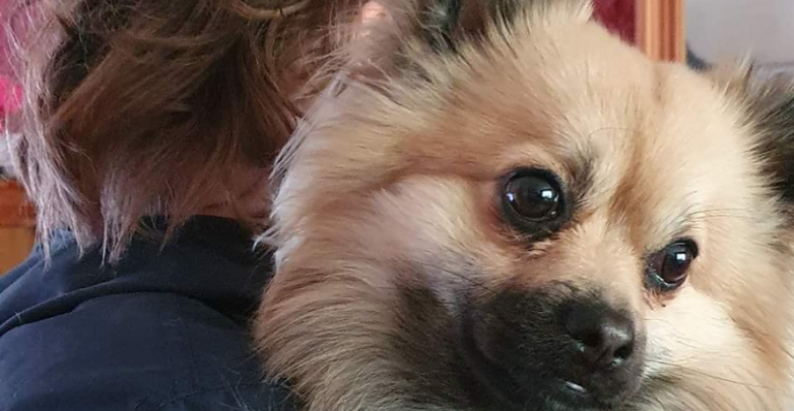 Help support our dog teddy which has severe epilepsy